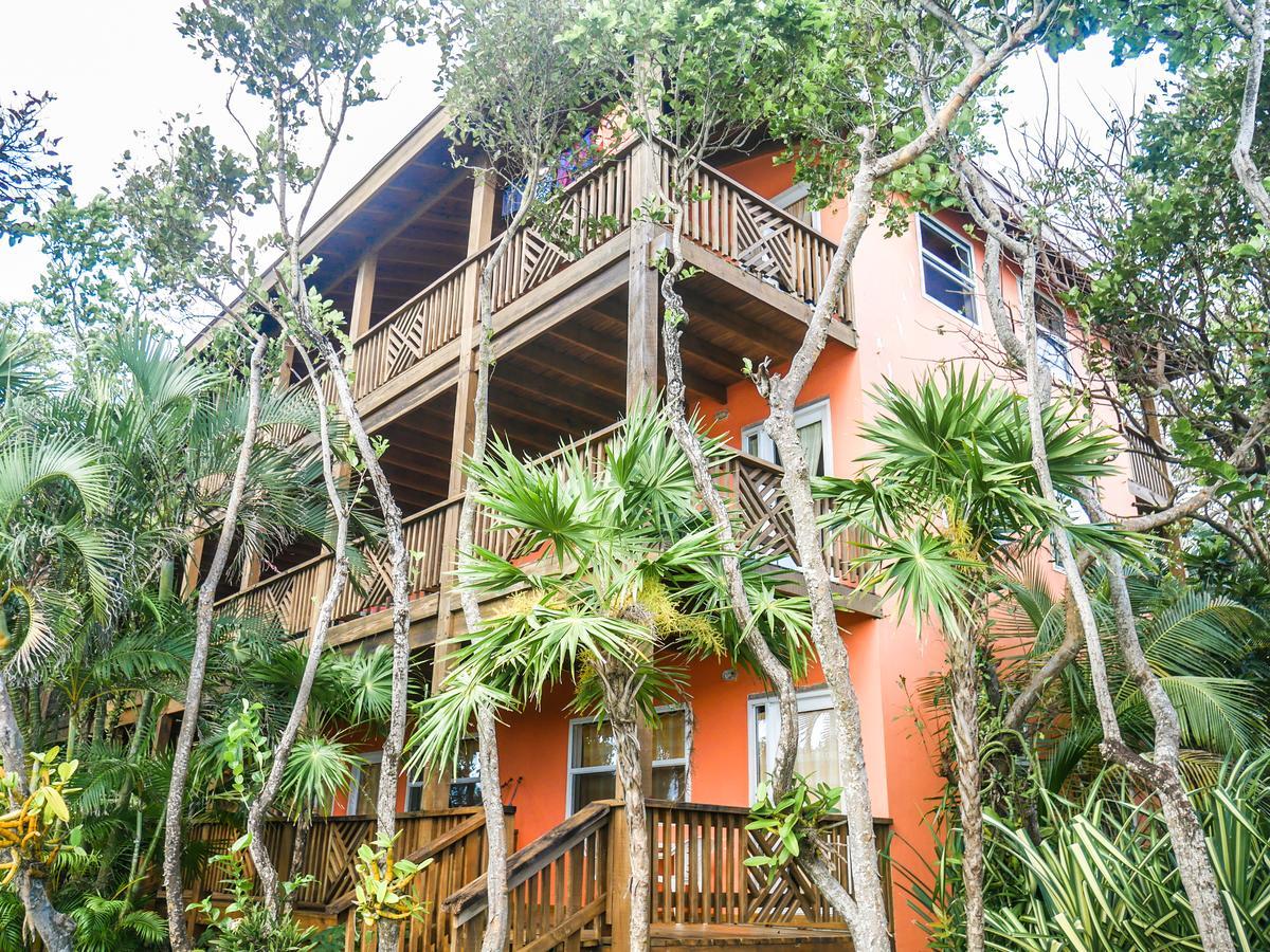 Hotel Posada Las Orquideas,West End Bagian luar foto