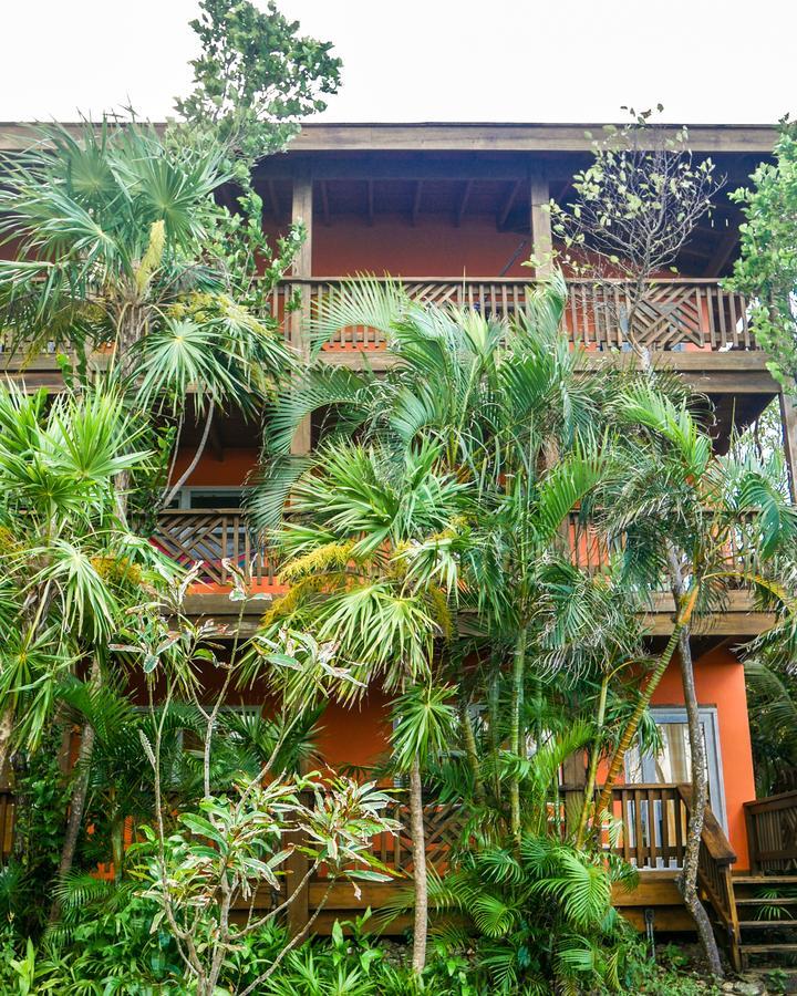 Hotel Posada Las Orquideas,West End Bagian luar foto