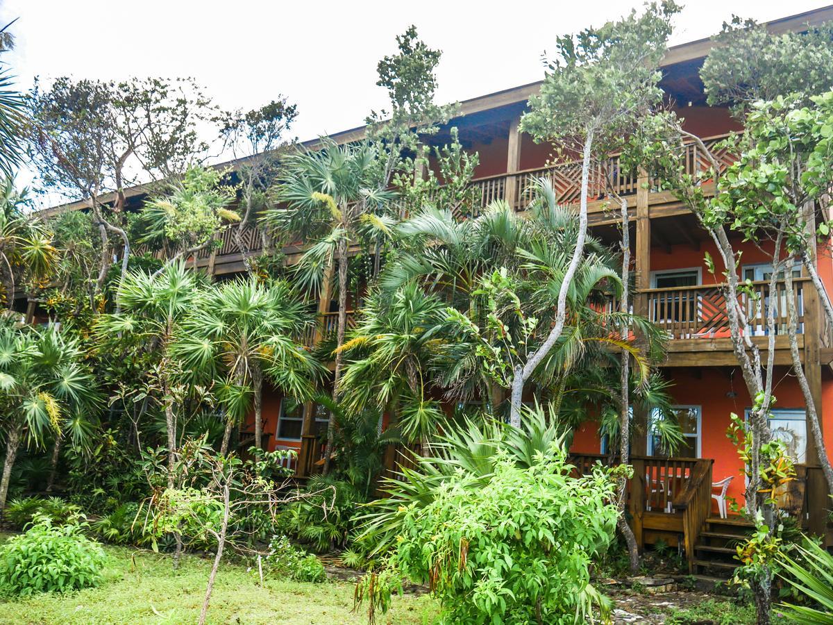 Hotel Posada Las Orquideas,West End Bagian luar foto