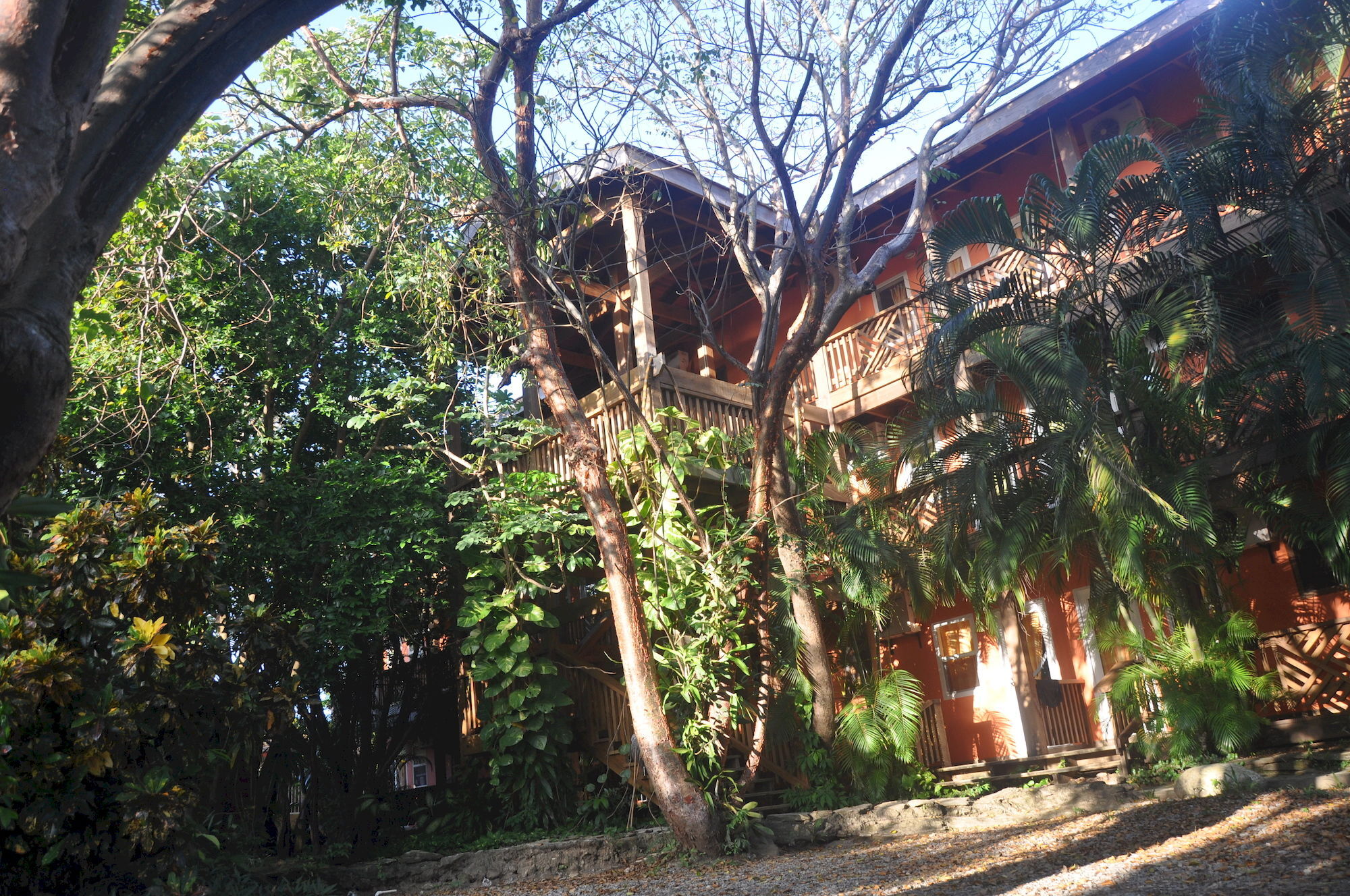 Hotel Posada Las Orquideas,West End Bagian luar foto