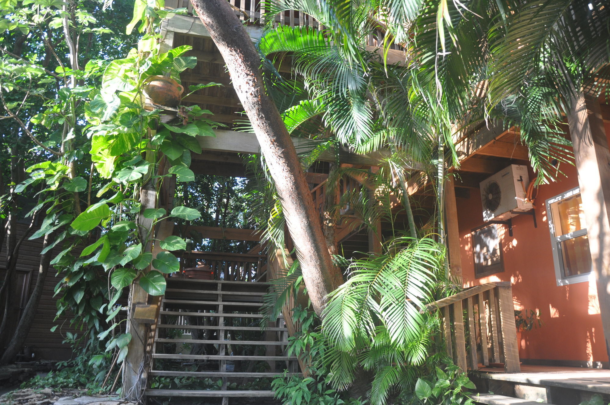 Hotel Posada Las Orquideas,West End Bagian luar foto