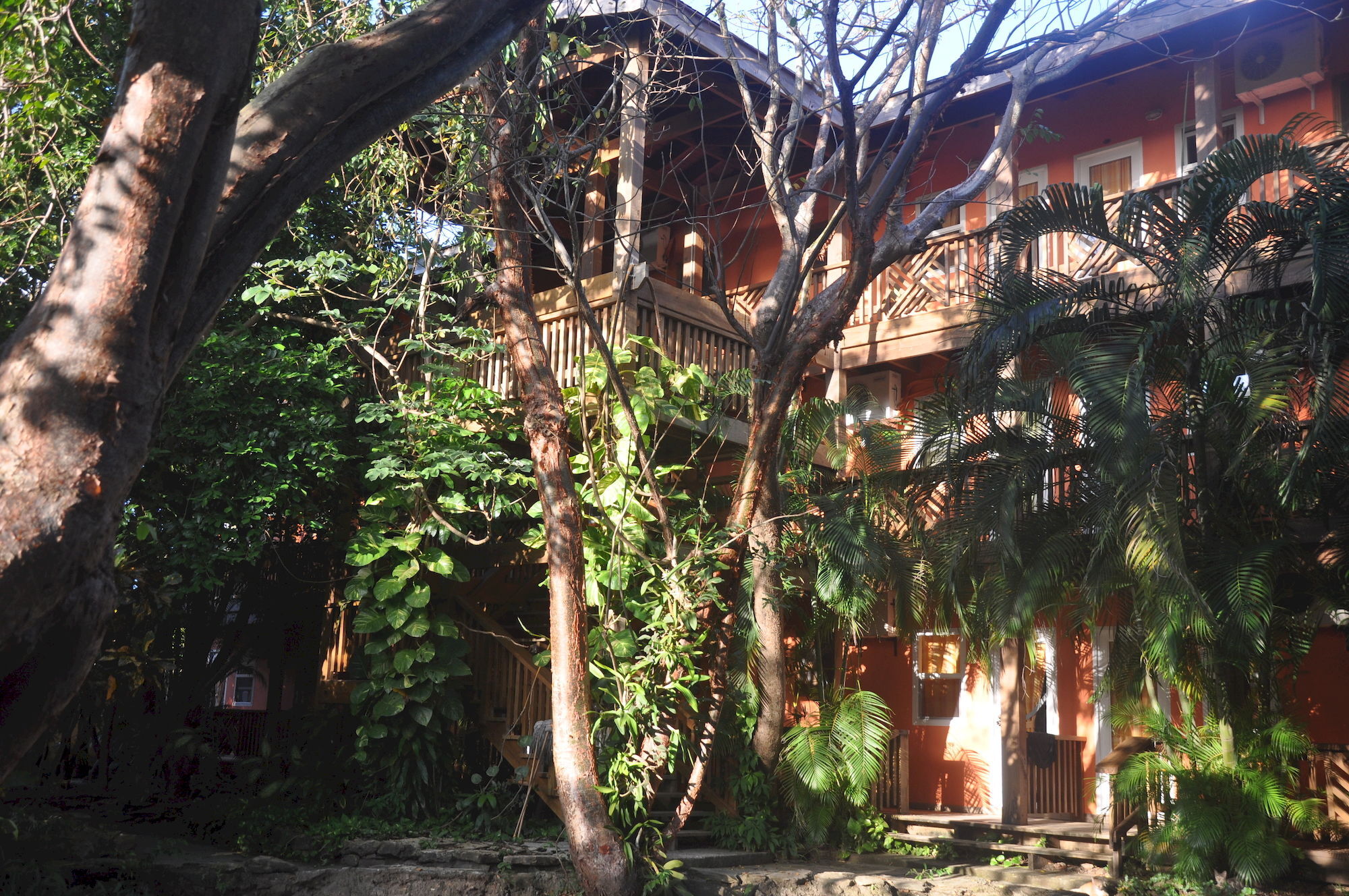 Hotel Posada Las Orquideas,West End Bagian luar foto