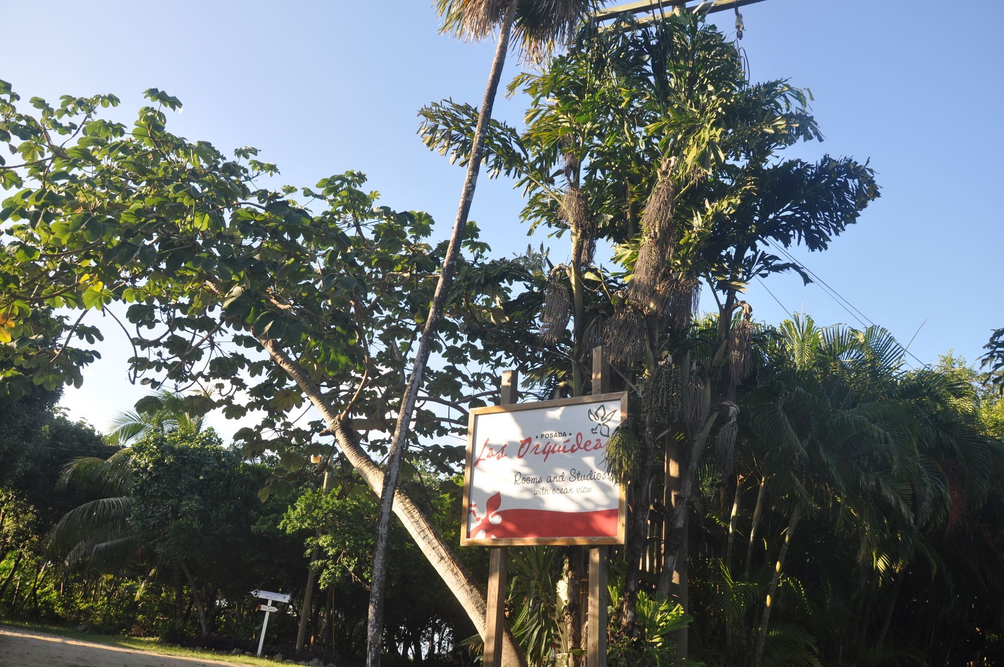 Hotel Posada Las Orquideas,West End Bagian luar foto